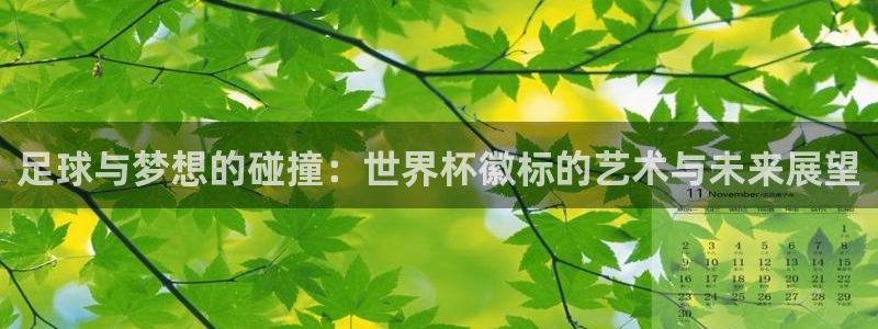世界杯亚洲区预选赛赛程：足球与梦想的碰撞：世界杯徽标的艺术与未来展望