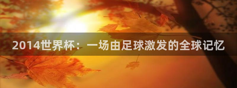 世界杯2026预选赛：2014世界杯：一场由足球激发的全球记忆