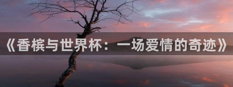世界杯预选赛：《香槟与世界杯：一场爱情的奇迹》