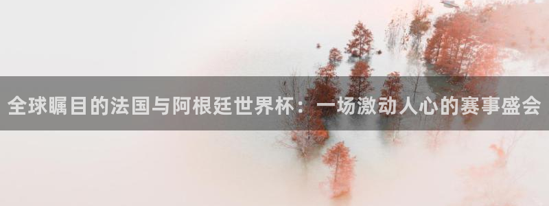 2026足球世界杯：全球瞩目的法国与阿根廷世界杯：一场激动人心的赛事盛会