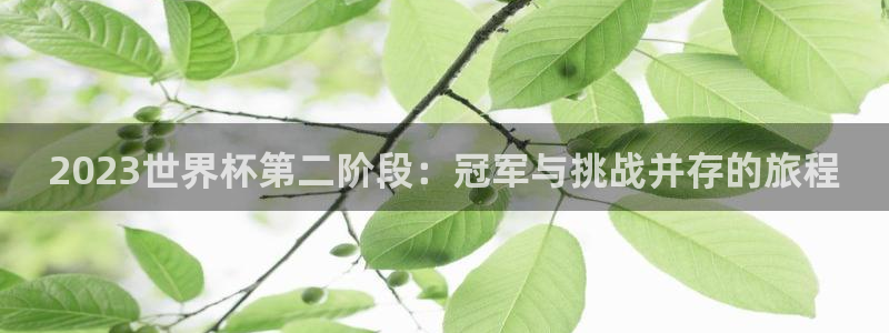 世界杯足球2026：2023世界杯第二阶段：冠军与挑战并存的旅程