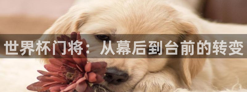 世界杯足球赛：世界杯门将：从幕后到台前的转变