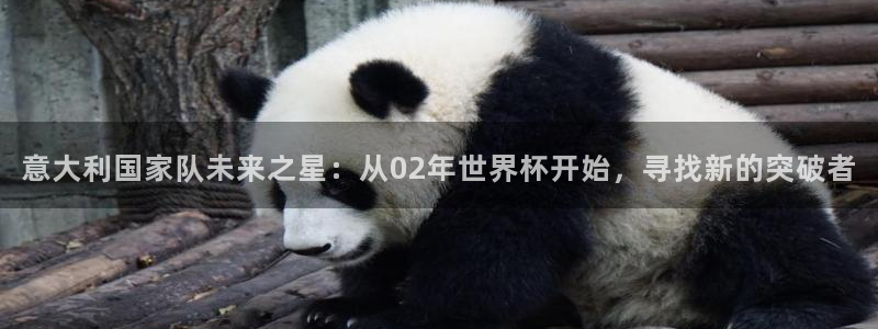 2026男足世界杯：意大利国家队未来之星：从02年世界杯开始，寻找新的突破者