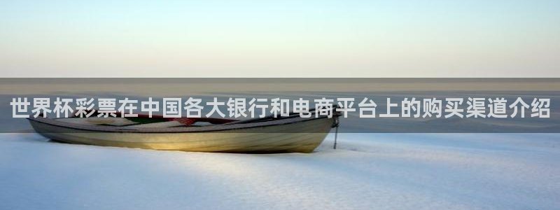 世界杯球赛：世界杯彩票在中国各大银行和电商平台上的购买渠道介绍