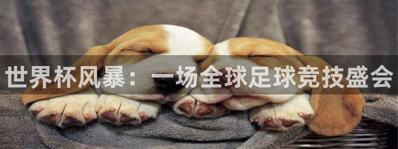 世界杯 直播：世界杯风暴：一场全球足球竞技盛会