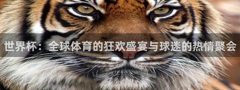 世界杯在线直播入口：世界杯：全球体育的狂欢盛宴与球迷的热情聚会