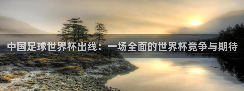 2026年男足世界杯：中国足球世界杯出线：一场全面的世界杯竞争与期待